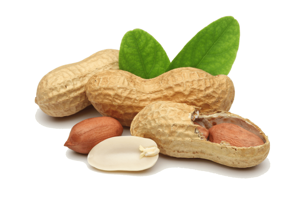 peanut